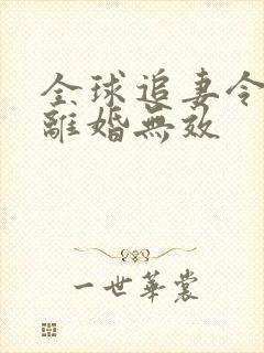 全球追妻令老婆离婚无效