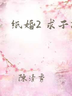 纸婚2 求子记