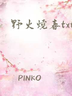 野火烧春txt