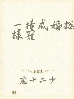 一撞成婚总裁花样宠