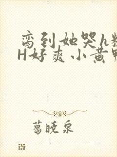 脔到她哭h粗话H好爽小黄鸭视频