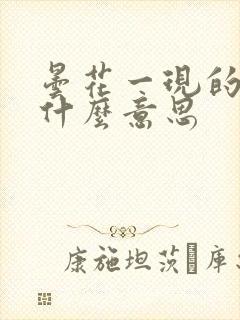 昙花一现的现是什么意思