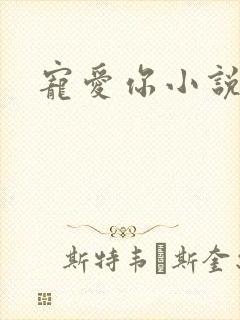 宠爱你小说