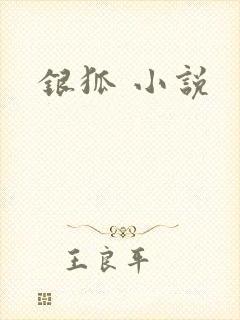 银狐 小说