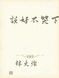 说好不哭下载