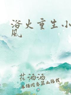 浴火重生小说陈风