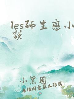 les师生恋小说
