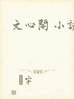 文心阁 小说