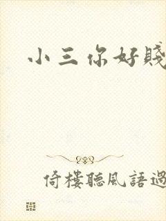 小三你好贱下载
