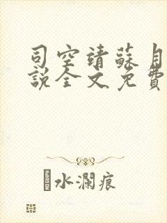 司空靖苏月汐小说全文免费阅读