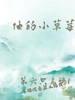 他的小草莓