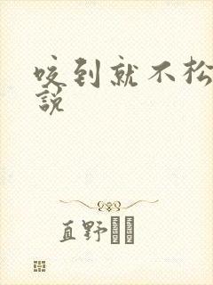 咬到就不松口小说