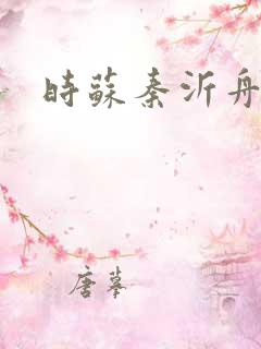 时苏秦沂舟小说