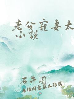 老公宠妻太甜蜜 小说