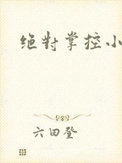 绝对掌控小说