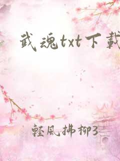 武魂txt下载
