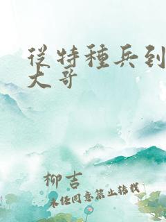 从特种兵到黑道大哥