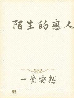 陌生的恋人小说