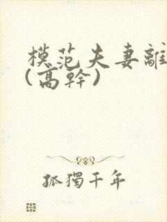 模范夫妻离婚了(高干)