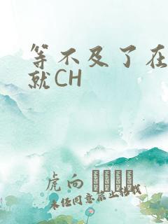 等不及了在车里就CH