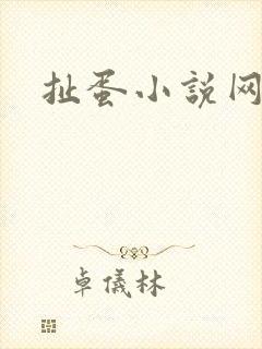 扯蛋小说网