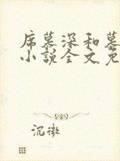 席慕深和慕清泠小说全文免费阅读