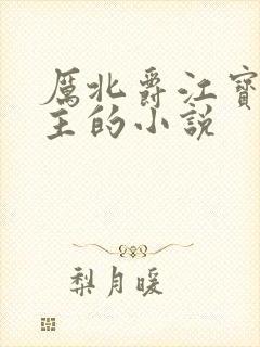 厉北爵江宝宝男主的小说