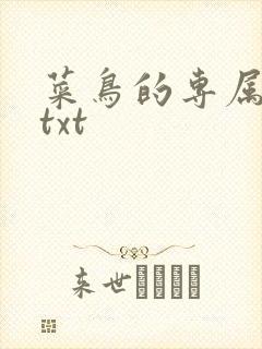 菜鸟的专属大神txt