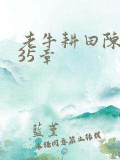 老牛耕田陈雪435章