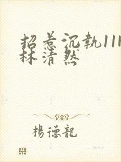 招惹沉执11H林清然