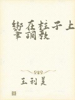 绑在柱子上用毛笔调教