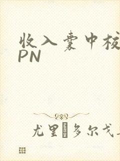 收入囊中校园HPN