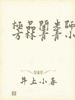 极品开光师李南方林青青小说叫