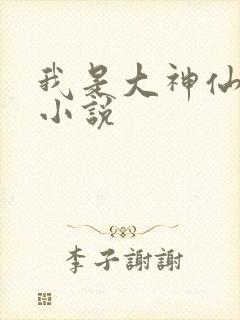 我是大神仙时江小说