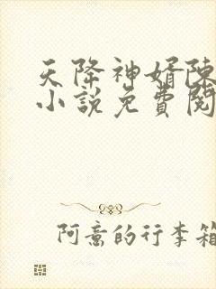 天降神婿陈黄皮小说免费阅读