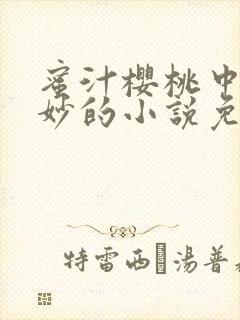 蜜汁樱桃中林妙妙的小说免费阅读