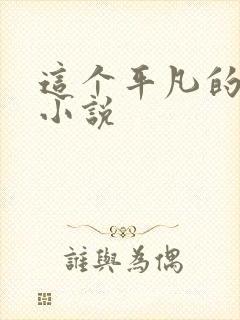 这个平凡的男子小说