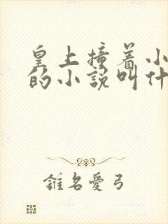 皇上撞着小公主的小说叫什么