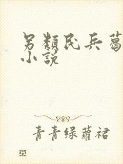 另类民兵葛二蛋小说