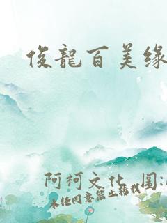 俊龙百美缘小说