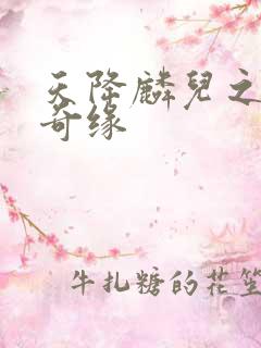 天降麟儿之天假奇缘