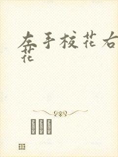 左手校花右手系花