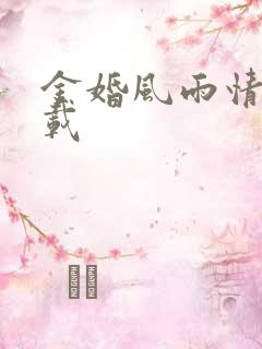 金婚风雨情 下载