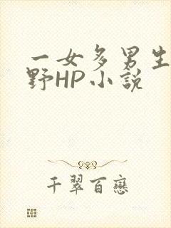 一女多男生活狂野HP小说