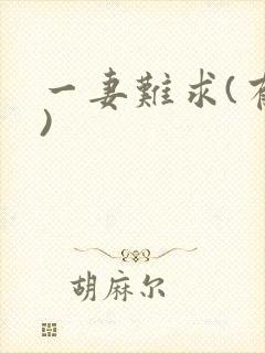 一妻难求(有肉)
