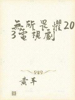 无所畏惧2023电视剧