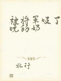 被将军吸了一整晚的奶