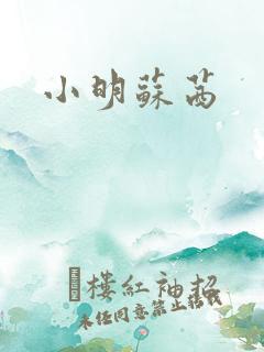 小明苏茜