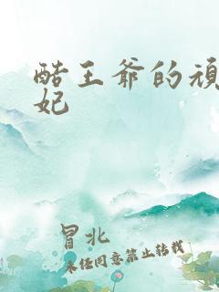 酷王爷的顽皮王妃