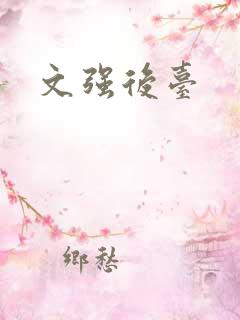 文强后台